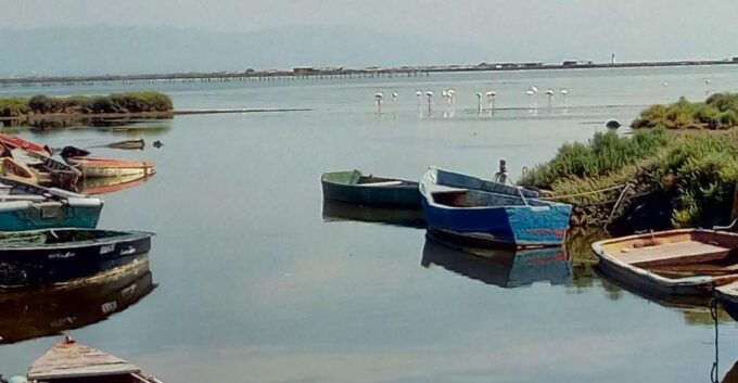 From Deltebre: Ebro Delta National Park Multi-Stop Day Trip - Explore El Fangars Natural Beauty