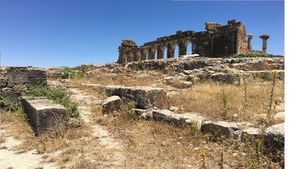 From Fez: Volubilis Moulay Idriss & Meknes Full-Day Trip - Booking Details