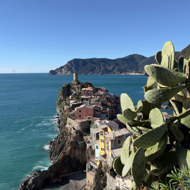 From Florence: Cinque Terre&Pisa Private Day Tour W/Transfer - Activity Description