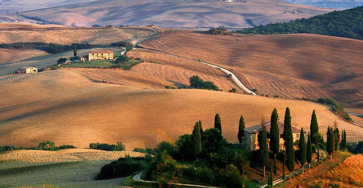 From Florence: Val D'Orcia Full-Day Wine Tasting Tour - Highlights