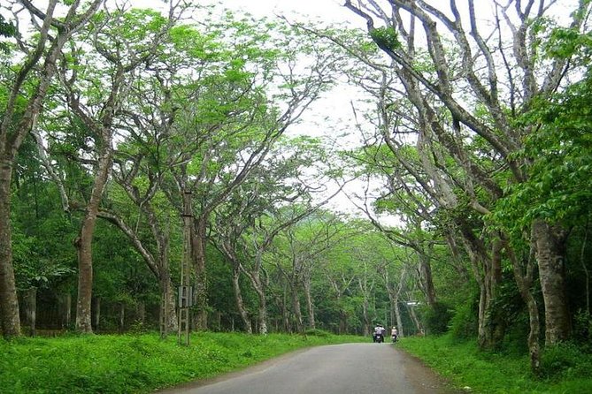 From Hanoi: Cuc Phuong National Park Day Trip by Private Car - Transportation Logistics