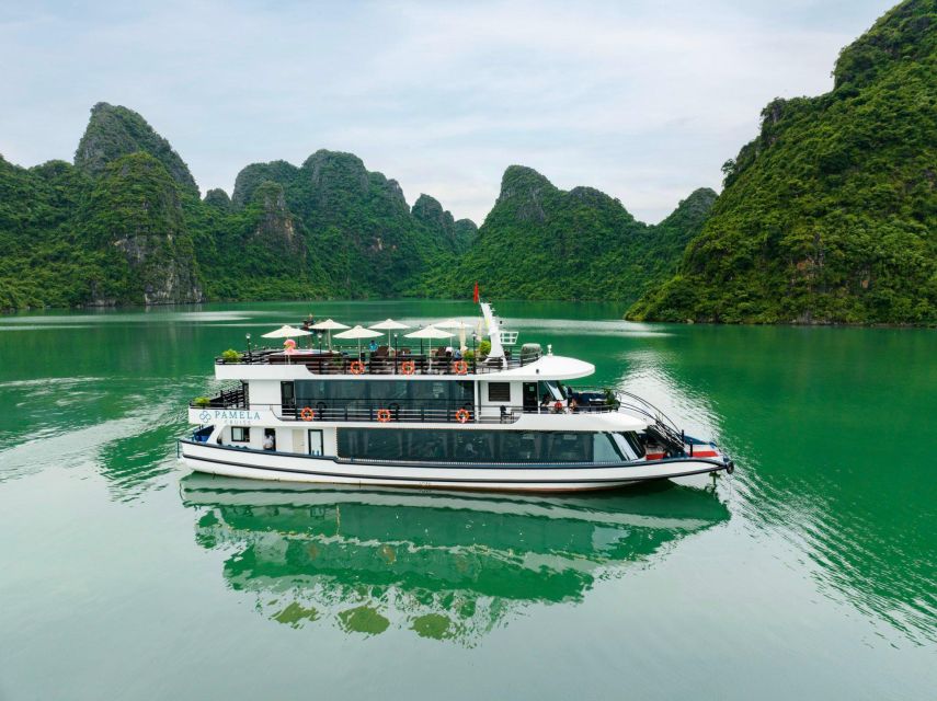 From Hanoi: Halong Bay Luxury Day Tour Kayaking, Swimming - Experience Highlights