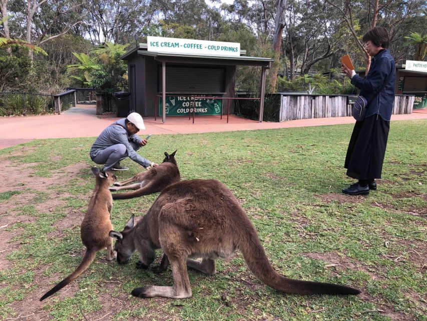 From Haymarket: Hunter Valley Wine and Wildlife Day Trip - Customer Testimonial