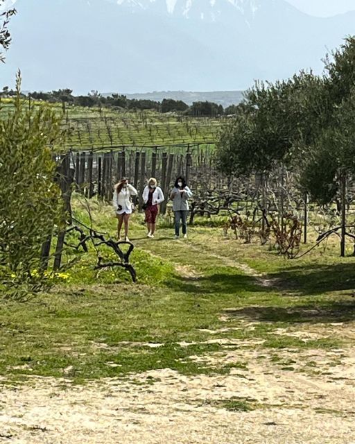 From Heraklion: Wine Tasting Experience @ Boutaris Winery - Tour Highlights