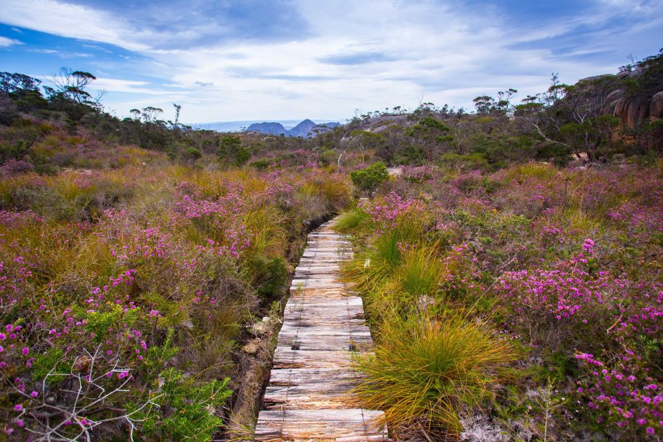 From Hobart: 4-Day Guided Freycinet National Park Walk - Experience Highlights