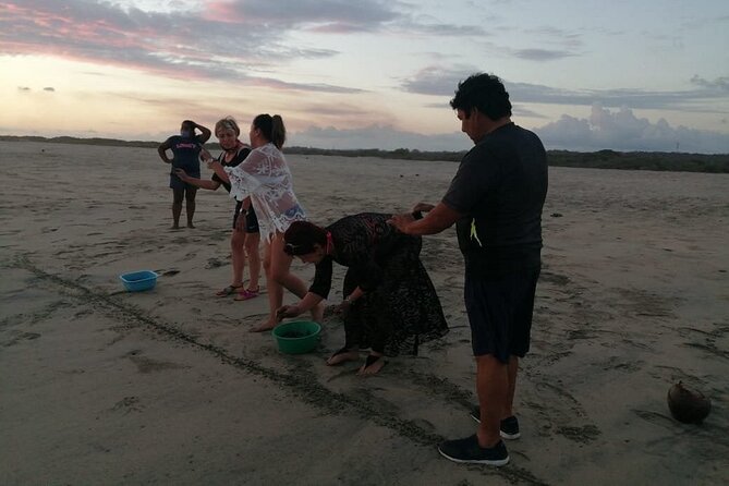 From Huatulco: Turtle Release & Bioluminescence - Cancellation Policy