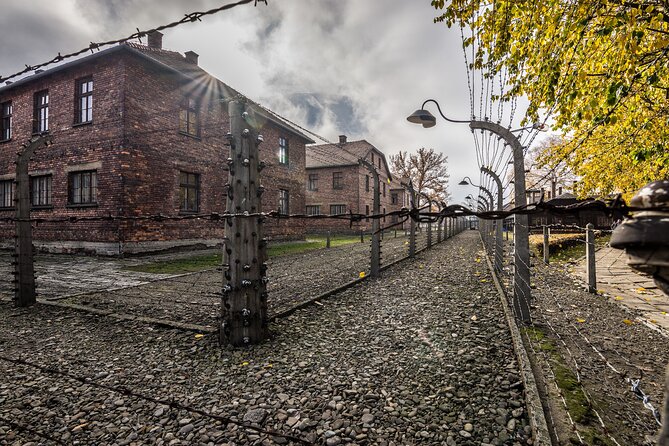 From Krakow: Auschwitz and Salt Mine Guided Tour & Lunch Box - Traveler Support