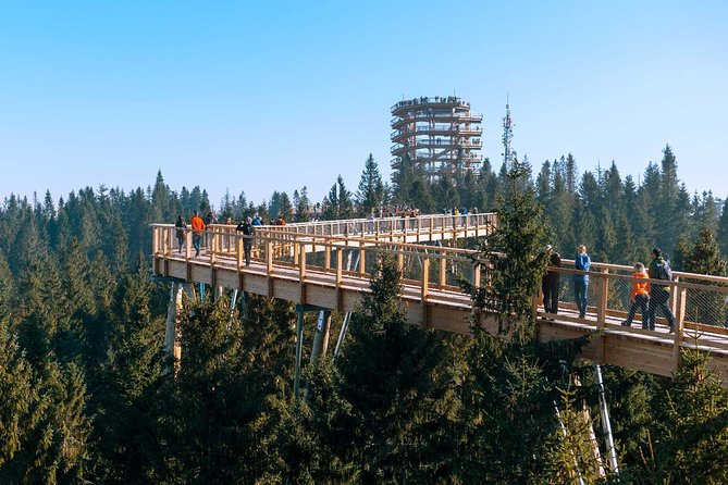 From Kraków: Slovakia Treetop Walk Bachledka and Zakopane - Common questions