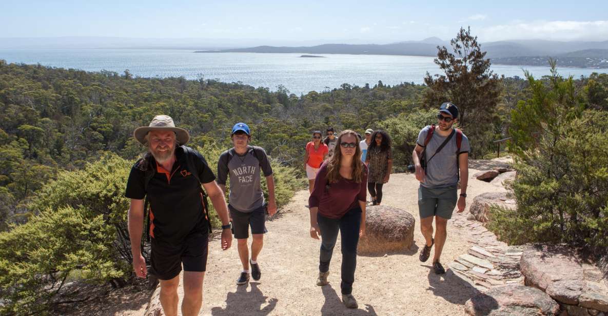 From Launceston: Full-Day Wineglass Bay Explorer Tour - Tour Inclusions