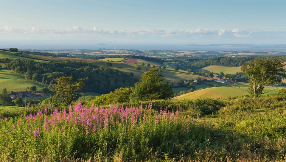 From London: Canterbury & White Cliffs of Dover Tour - Inclusions