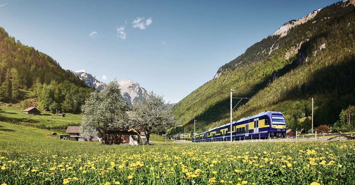 From Lucerne: Day Trip to Grindelwald and Interlaken - Departure Details