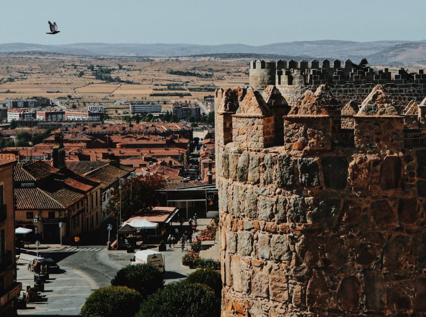 From Madrid: Avila Private Tour - Tour Highlights