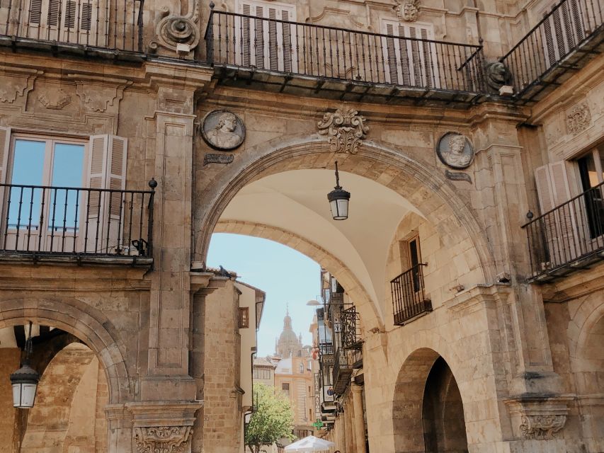 From Madrid: Day Trip to Salamanca With Private Tour - Tour Inclusions