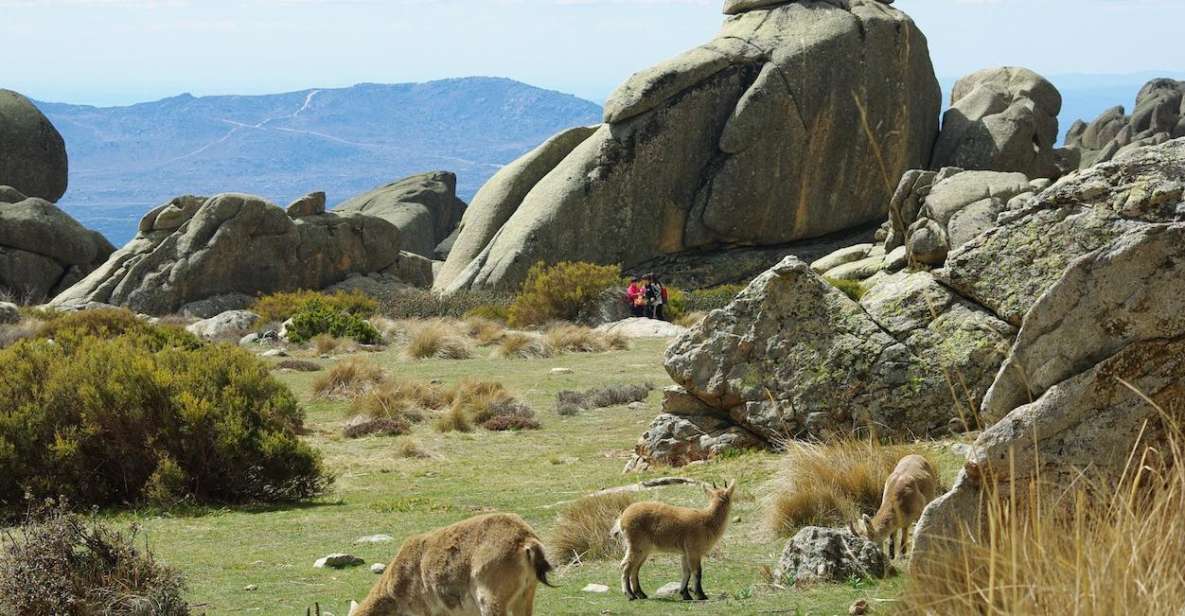 From Madrid: Sierra De Guadarrama Hiking Day Trip - Full Description and Requirements
