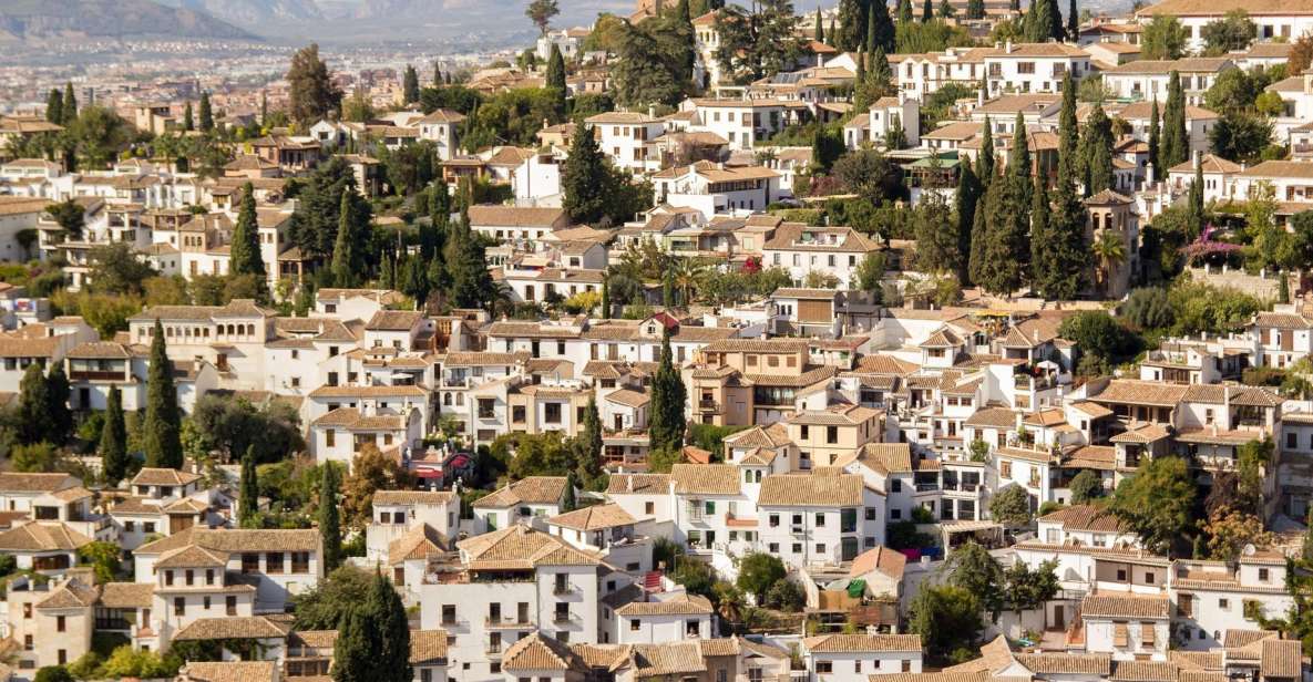 From Malaga and Costa Del Sol: Granada Day Trip - Inclusions