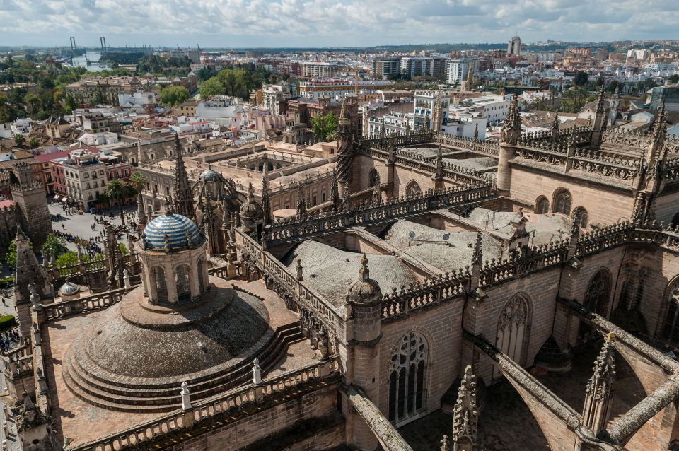 From Malaga: Private Seville, Alcazar and Cathedral Day Trip - Review