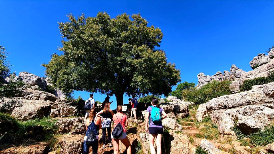 From Malaga: VIP Antequera Torcal Hiking and Dolmens Site - Detailed Itinerary and Special Requests