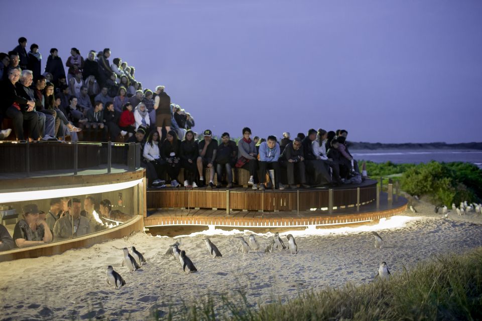 From Melbourne: Phillip Island Penguin Parade Eco Tour - Inclusions