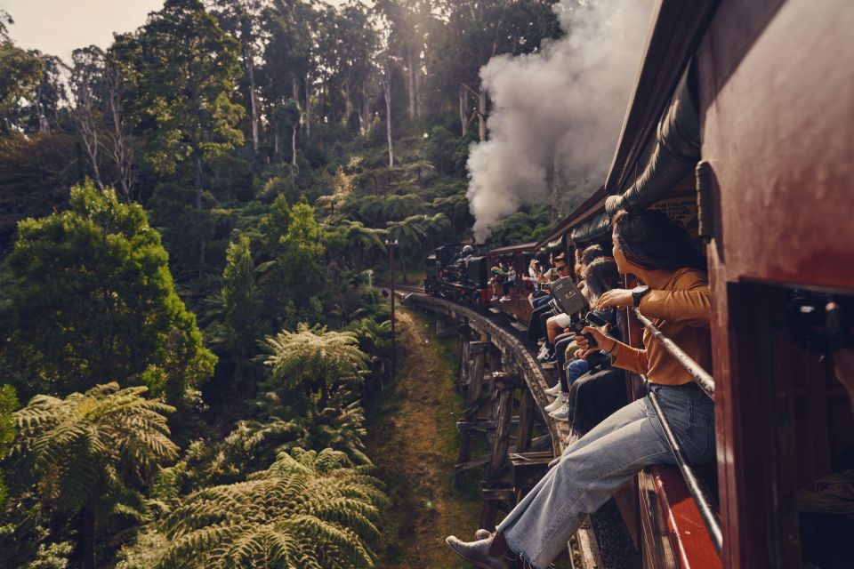 From Melbourne: Puffing Billy & Moonlit Sanctuary Tour - Booking Details