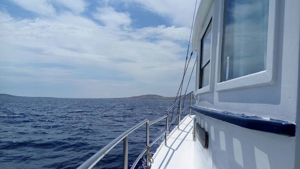 From Mykonos: Full-Day Ancient Delos & Rhenia Island Cruise - Booking Information