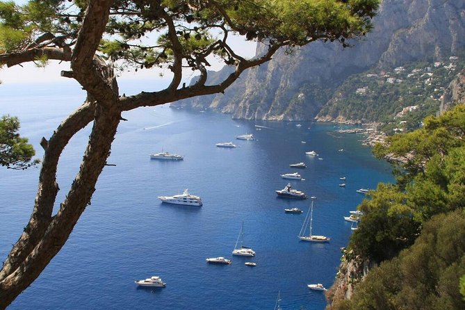 From Naples: Full-Day Capri Island and Blue Grotto Tour - Customer Reviews and Feedback