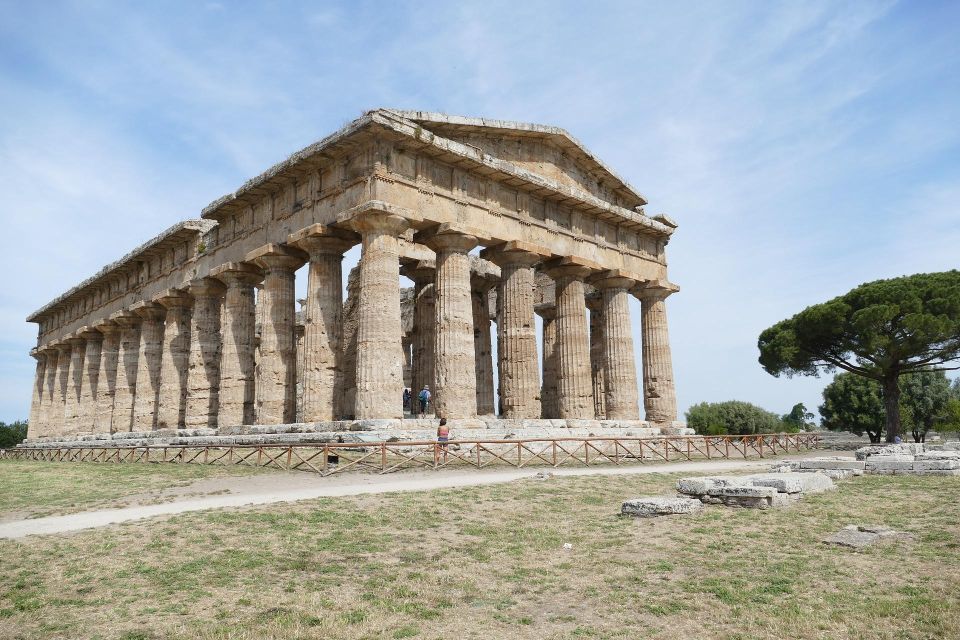 From Naples: Paestum Greek Temples, Bufala Mozzarella Farm - Tour Description