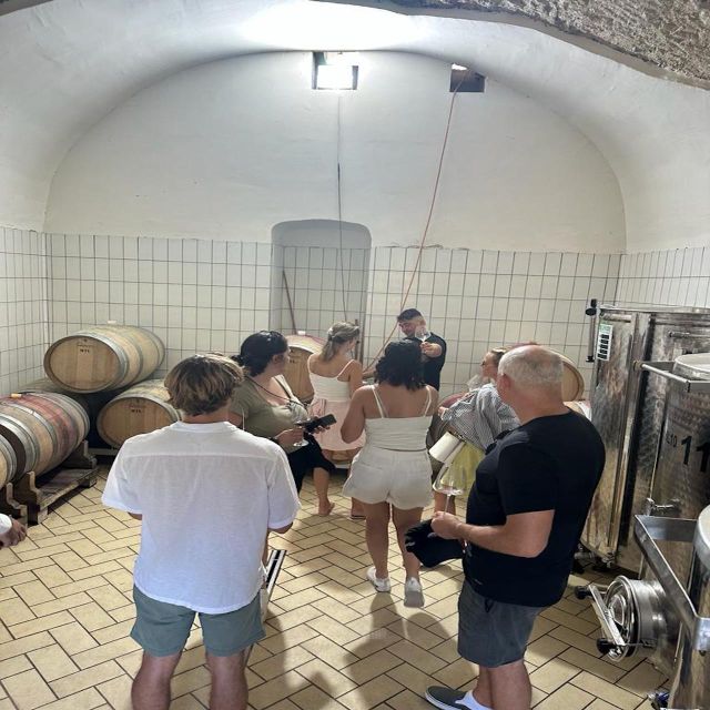 From Napoli: Private Luxury Tour Pompei ,Winery - Itinerary Overview and Stops