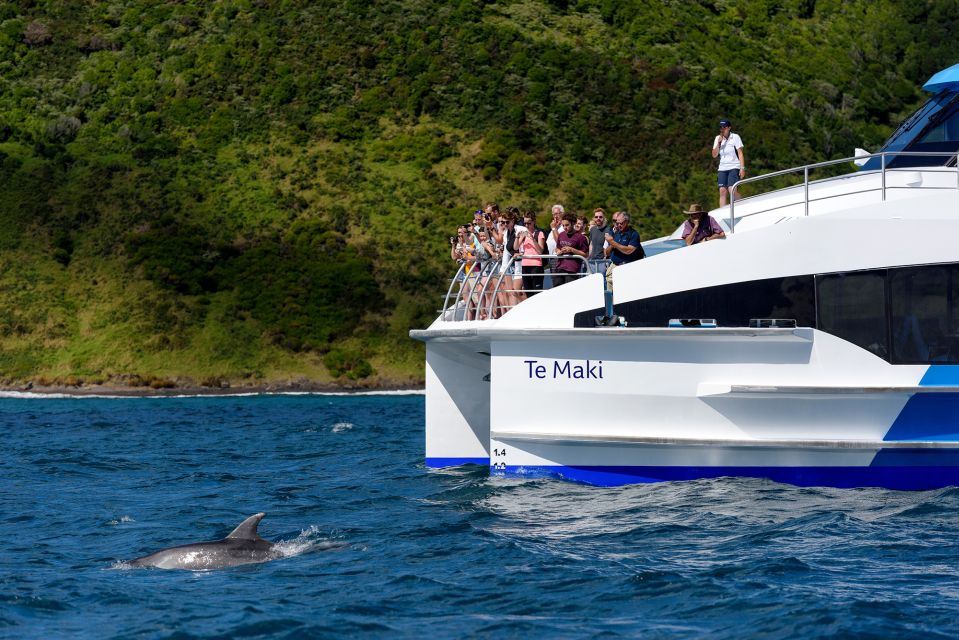 From Paihia: Cream Trip Full-Day Cruise to Bay of Islands - Activity Description