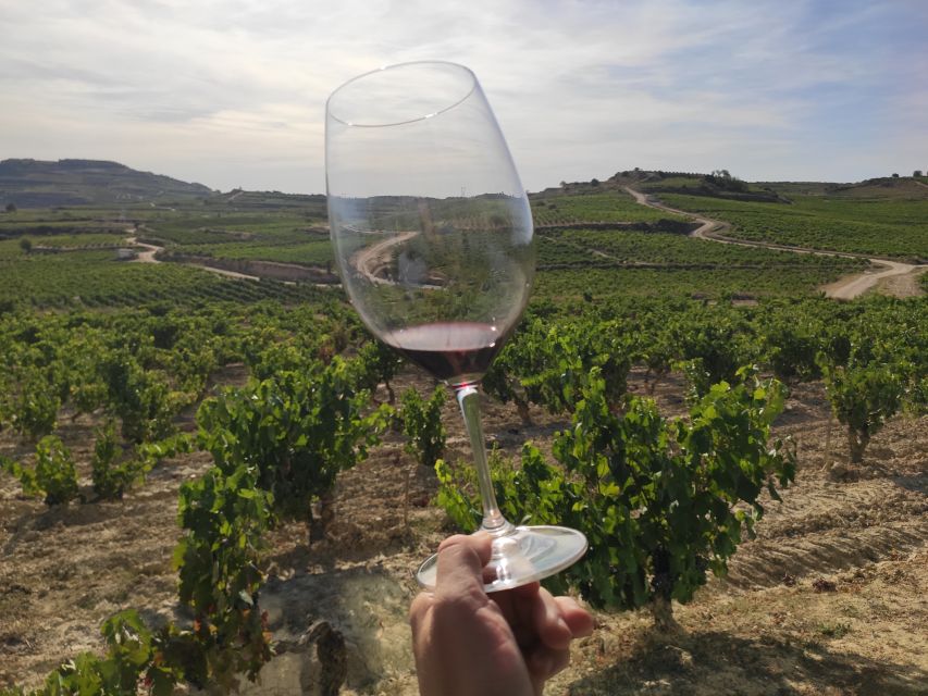 From Pamplona or Logroño: Rioja Wineries Day Trip W/ Tasting - Highlights of the Tour