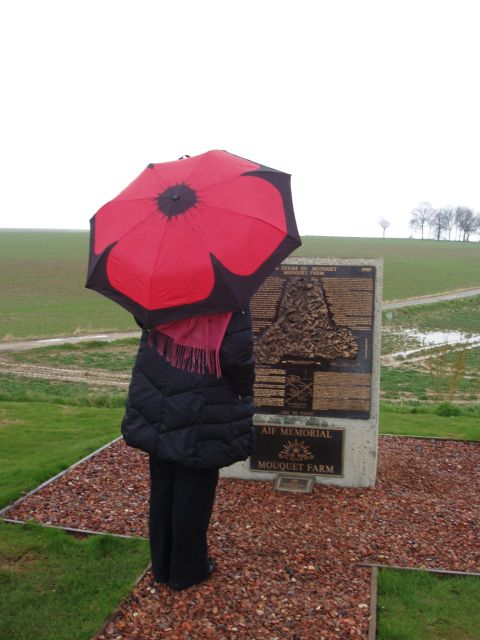 From Paris: WWI Somme Battlefields Full-Day Tour - Tour Experience