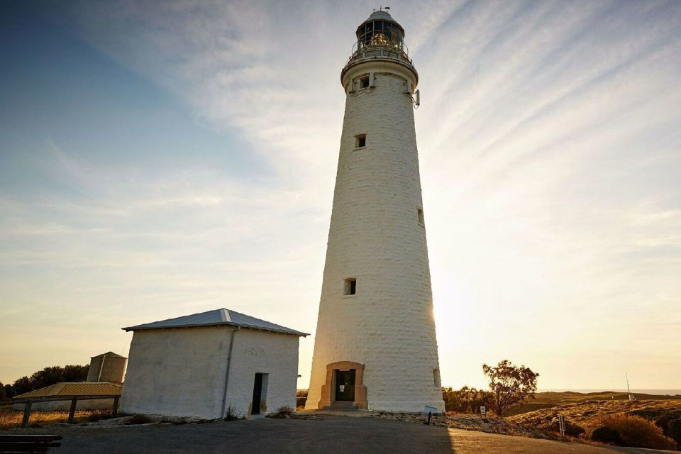 From Perth or Fremantle: Rottnest Island Ferry and Bus Tour - Inclusions