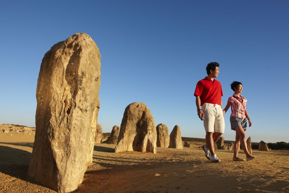 From Perth: Pinnacle Desert, Yanchep, & Swan Valley Day Tour - Itinerary Highlights