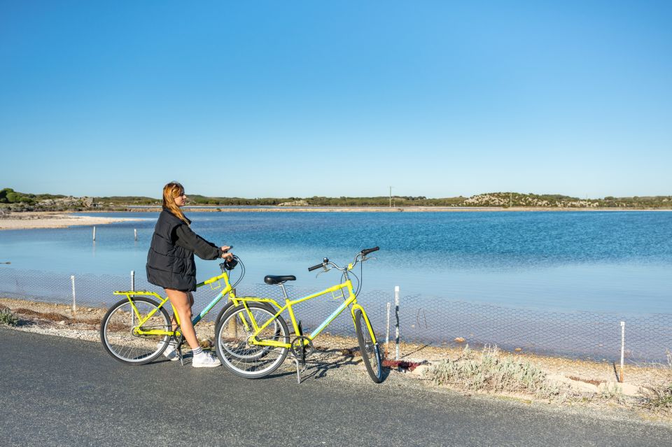 From Perth: Rottnest Island Full-Day Bike and Ferry Trip - Inclusions