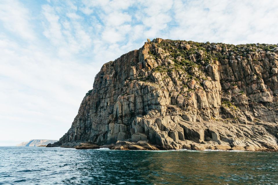 From Port Arthur: Tasman Island Wilderness Cruise - Customer Reviews