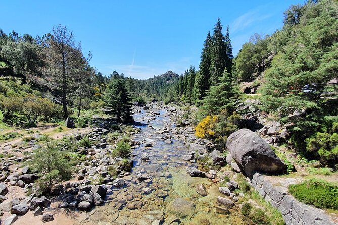 From Porto: Peneda-Gerês National Park Full Day Tour - Important Contact Information