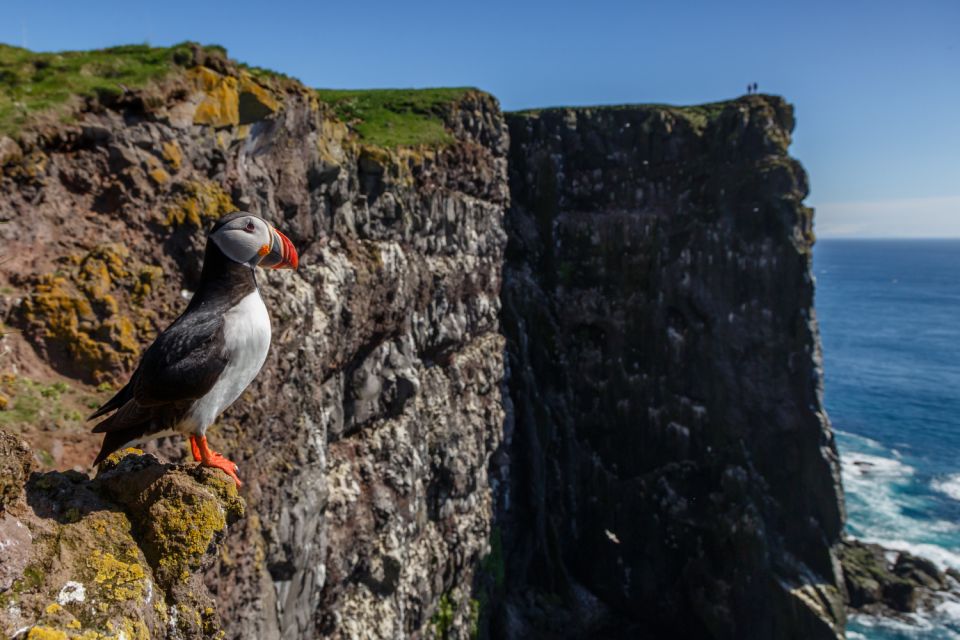 From Reykjavík: 3-Day Tour of the Wild Westfjords - Day 2 Activities