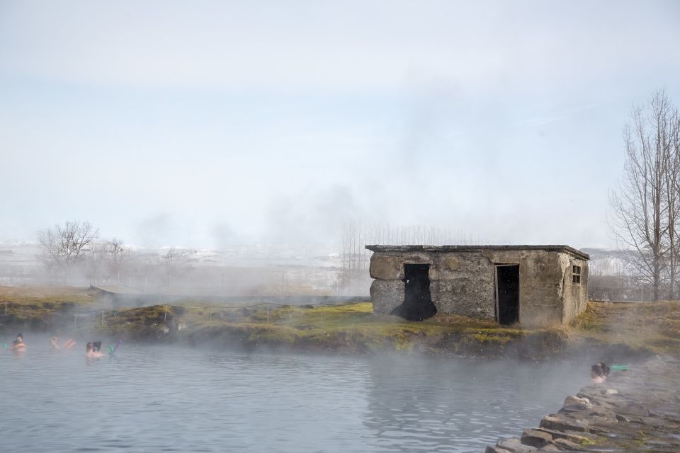 From Reykjavik: Golden Circle and Secret Lagoon Small Group - Customer Reviews