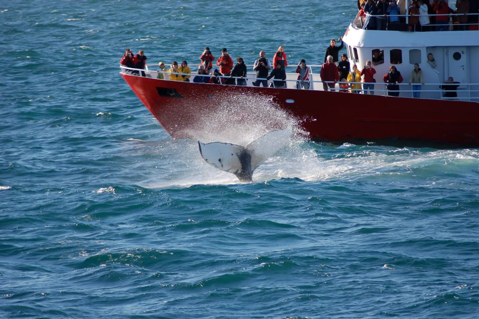 From Reykjavik: Golden Circle and Whale Watching Tour - Pickup Information