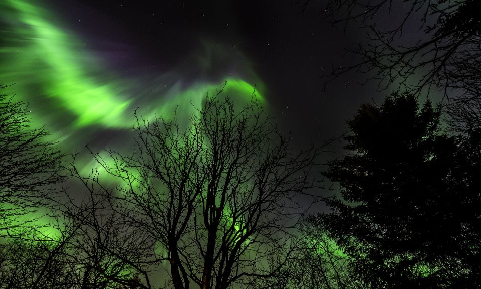 From Reykjavik: Northern Lights & Stars Bus Tour - Important Information