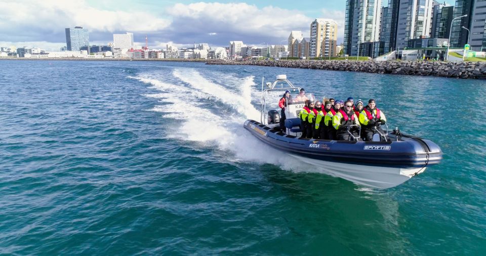 From Reykjavik: Whale Watching Tour by Speedboat - Detailed Description