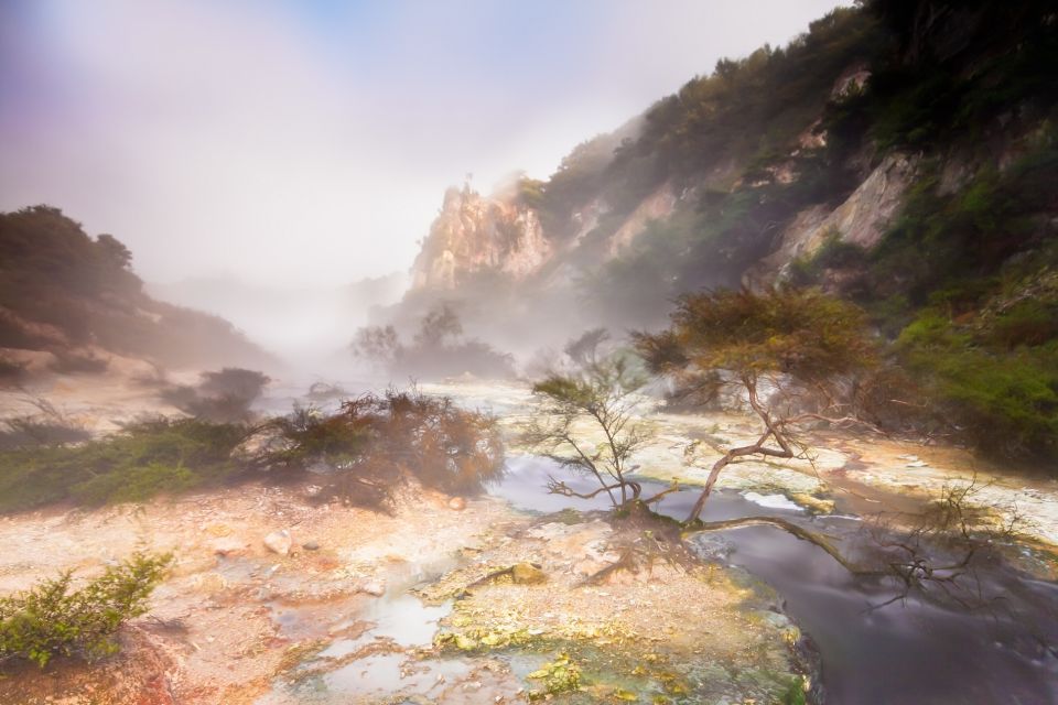 From Rotorua: Wai O Tapu & Waimangu Eco Thermal Morning Tour - Experience Highlights