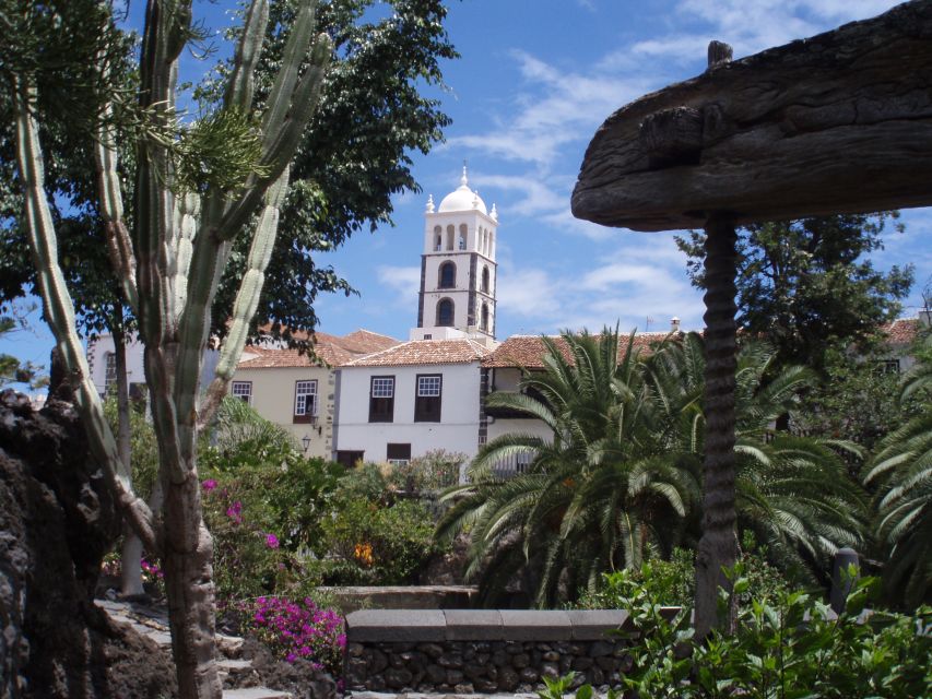 From Santa Cruz De Tenerife: Masca & Garachico Private Trip - Review Summary