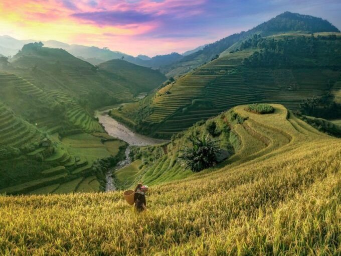 From Sapa : 2-Days 1 Night Trekking With Local Guide - Customer Review