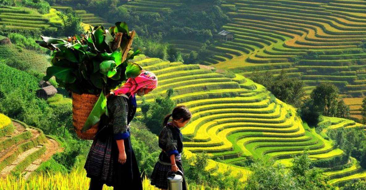 From Sapa : Full-Day Trekking With Lunch and Drop-Off - Activity Highlights