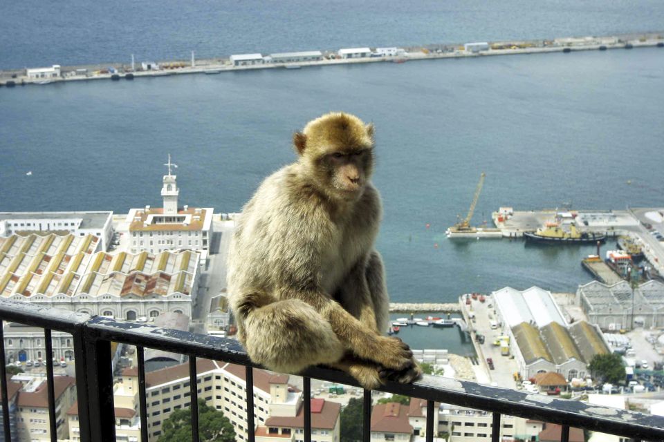 From Seville: Day Trip to Gibraltar - Customer Reviews