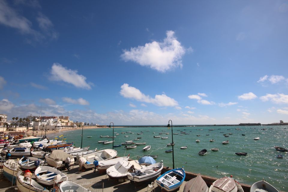 From Seville: Private Guided Day Trip to Cádiz and Jerez - Full Description