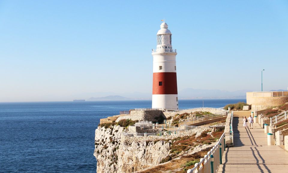 From Seville: Private Tour of Gibraltar - Activity Highlights During the Tour