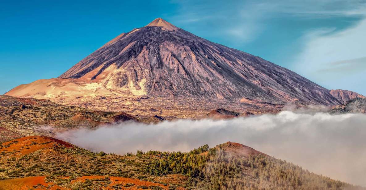 From South Tenerife: Mount Teide Hiking Day Trip & Cable Car - Highlights