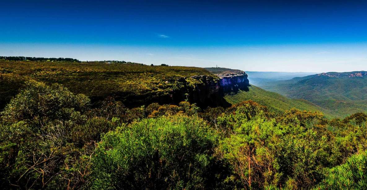 From Sydney: Blue Mountains Small-Group Tour Picnic & Hike - Full Tour Description