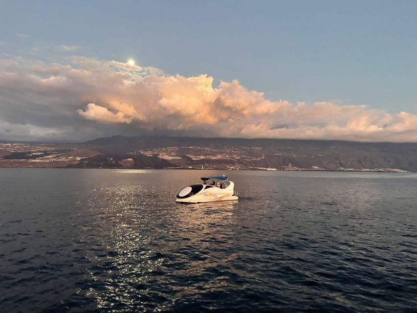 From Tazacorte: Fast Yacht Tour of La Palma - Location and Meeting Point